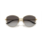 Ralph Lauren RL 7079 90048G Güneş Gözlüğü