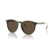 Ralph Lauren RL 8181P 614053 Güneş Gözlüğü