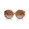 Ralph Lauren RL 8188Q 605613 Güneş Gözlüğü
