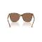 Ralph Lauren RL 8201 500473 Güneş Gözlüğü