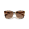 Ralph Lauren RL 8201 500473 Güneş Gözlüğü