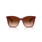 Ralph Lauren RL 8201 591274 Güneş Gözlüğü