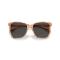 Ralph Lauren RL 8201 617987 Güneş Gözlüğü