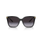 Ralph Lauren RL 8209 50018G Güneş Gözlüğü