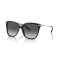Ralph Lauren RL 8209 5001T3 Güneş Gözlüğü