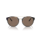 Ralph Lauren RL 8210 50025W Güneş Gözlüğü