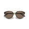 Ralph Lauren RL 8210 50025W Güneş Gözlüğü