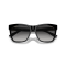 Ralph Lauren RL 8212 50018G Güneş Gözlüğü