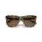 Ralph Lauren RL 8212 500473 Güneş Gözlüğü