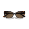 Ralph Lauren RL 8213 500373 Güneş Gözlüğü