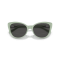 Ralph Lauren RL 8215BU 608287 Güneş Gözlüğü
