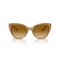 Ralph Lauren RL 8215BU 60832L Güneş Gözlüğü