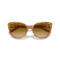 Ralph Lauren RL 8215BU 60832L Güneş Gözlüğü