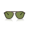 Ralph Lauren RL 8219U 50034E Güneş Gözlüğü
