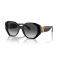 Ralph Lauren RL 8220 50018G Güneş Gözlüğü