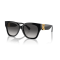 Ralph Lauren RL 8221 50018G Güneş Gözlüğü