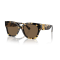 Ralph Lauren RL 8221 500473 Güneş Gözlüğü