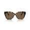 Ralph Lauren RL 8221 500473 Güneş Gözlüğü