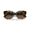 Ralph Lauren RL 8221 500473 Güneş Gözlüğü