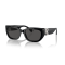 Ralph Lauren RL 8222 500187 Güneş Gözlüğü