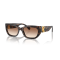 Ralph Lauren RL 8222 500313 Güneş Gözlüğü