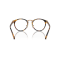 Ralph Lauren RL 8223 5134BF Güneş Gözlüğü