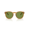 Ralph Lauren RL 8229U 52754E Güneş Gözlüğü
