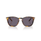 Ralph Lauren RL 8233U 51341A Güneş Gözlüğü