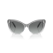 Swarovski SK 6020 104611 Güneş Gözlüğü