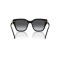 Swarovski SK 6041 1001T3 Güneş Gözlüğü