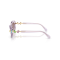 Swarovski SK 6042 1079LA Güneş Gözlüğü