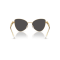 Swarovski SK 7034 404M87 Güneş Gözlüğü