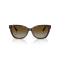 Tiffany TF 4237B 8015T5 Güneş Gözlüğü