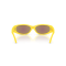 Arnette AN 4302 30201U Güneş Gözlüğü, Ekartman: 62