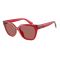 Armani Exchange AX 4164SU 839369 Güneş Gözlüğü