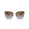 Dolce & Gabbana DG 2321 02/48 Güneş Gözlüğü