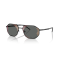 Emporio Armani EA 2147 30017G Güneş Gözlüğü