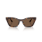 Emporio Armani EA 4259U 502673 Güneş Gözlüğü