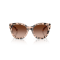 Jimmy Choo JC 5053 508013 Güneş Gözlüğü