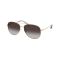 Michael Kors MK 1172 10148G Güneş Gözlüğü