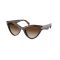 Michael Kors MK 2259U 403113 Güneş Gözlüğü