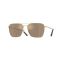 Oliver Peoples OV 1362S 50355A Güneş Gözlüğü