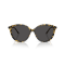 Oliver Peoples OV 5605SU 177887 Güneş Gözlüğü