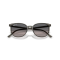 Ray-Ban RB 2197 1438M3 Güneş Gözlüğü