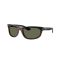 Ray-Ban RB 2489 144058 Güneş Gözlüğü