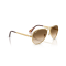 Ray-Ban RB 3925 001/51 Güneş Gözlüğü, Ekartman: 58