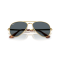 Ray-Ban RB 3925 001/R5 Güneş Gözlüğü, Ekartman: 58