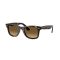 Ray-Ban RB 4340 710/M2 Güneş Gözlüğü
