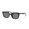 Ray-Ban RB 4439D 710/87 Güneş Gözlüğü