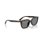 Ray-Ban RB 4439D 710/87 Güneş Gözlüğü